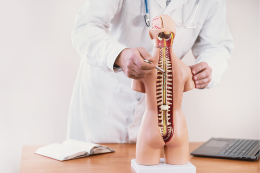 3.25 - Do Most People Have Bulging Discs