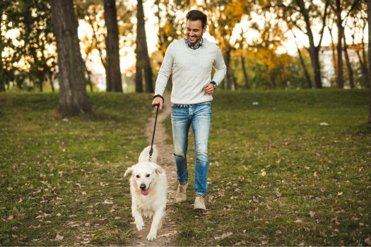 How Do You Know when a Herniated Disc Is Starting to Heal?