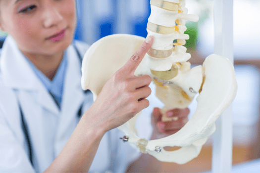 What Happens Anatomically to Cause a Herniated Disc?